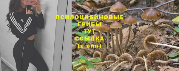 меф Нязепетровск