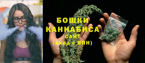 спайс Нягань