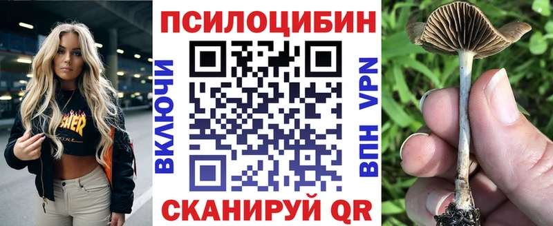 Псилоцибиновые грибы MAGIC MUSHROOMS где купить наркоту Кумертау