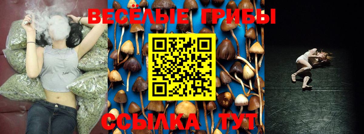 Псилоцибиновые грибы Cubensis Кумертау